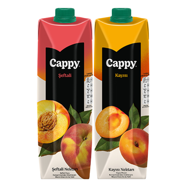 CAPPY 1 LT TETRA ÇEŞİTLERİ
